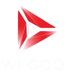 WEGOO Logo Hero